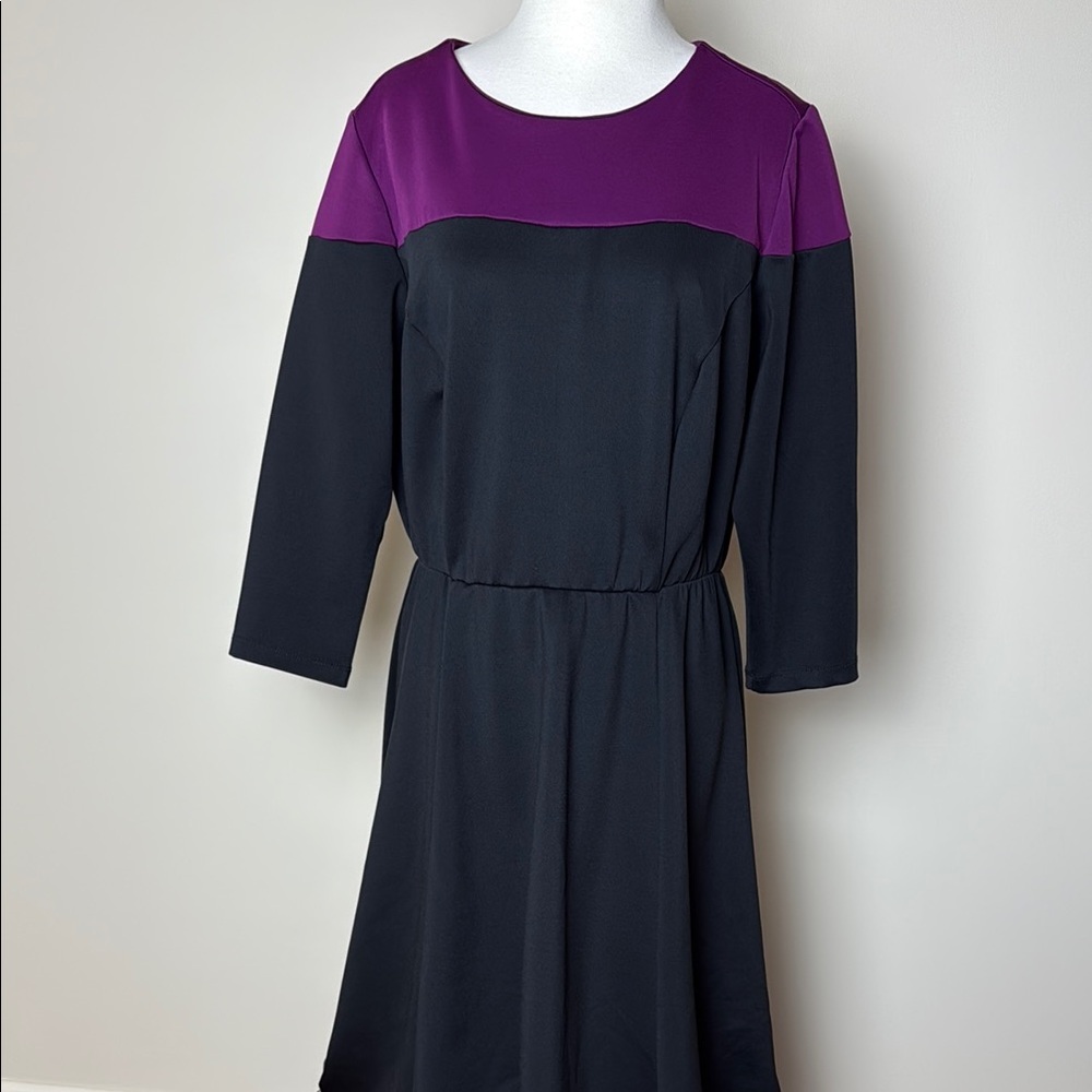 Spruce & Sage Black and Fuchia Elastic Waist Full Skirt 3/4 Sleeve Dress Size 1X